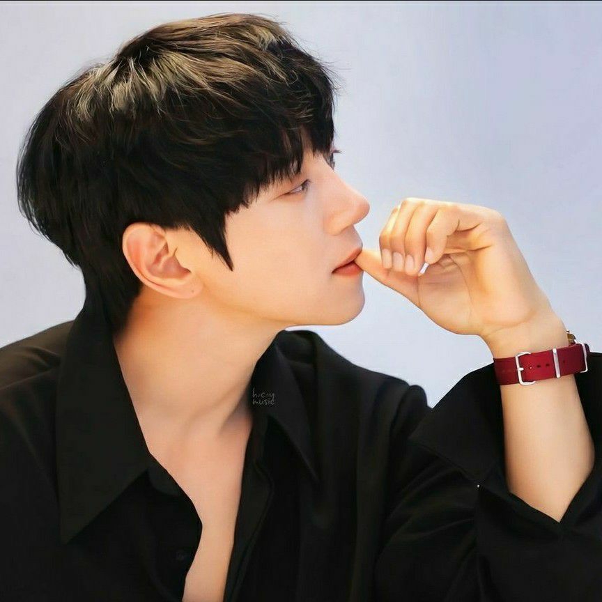 黃致列粉絲拍下的瞬間