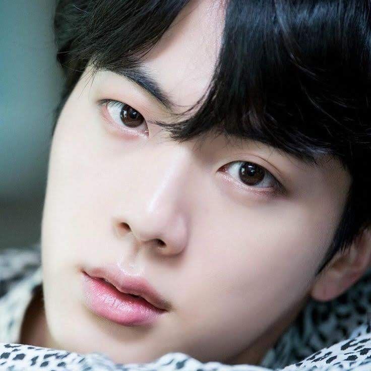 Momen yang diabadikan oleh penggemar Jin (BTS)