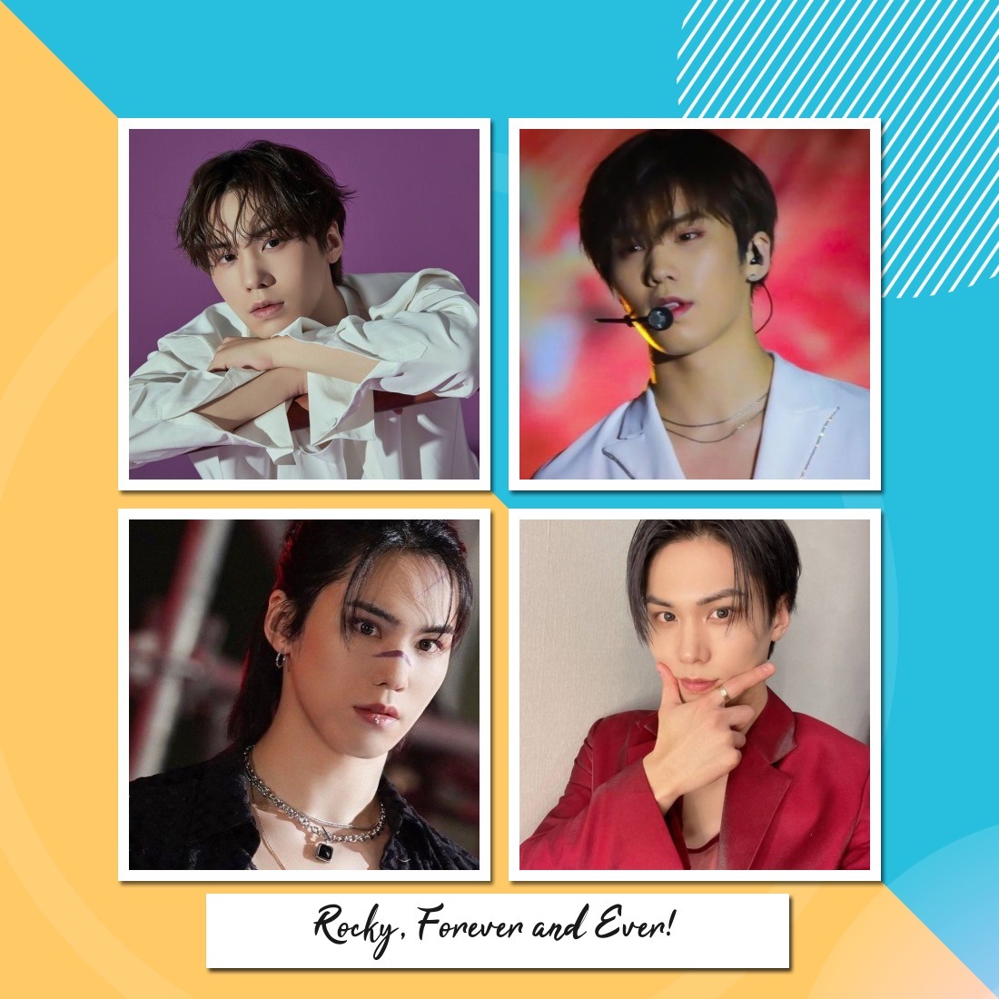 Recent activity shot of Rocky