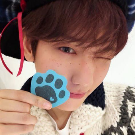 EXO 팬이 찍은 순간