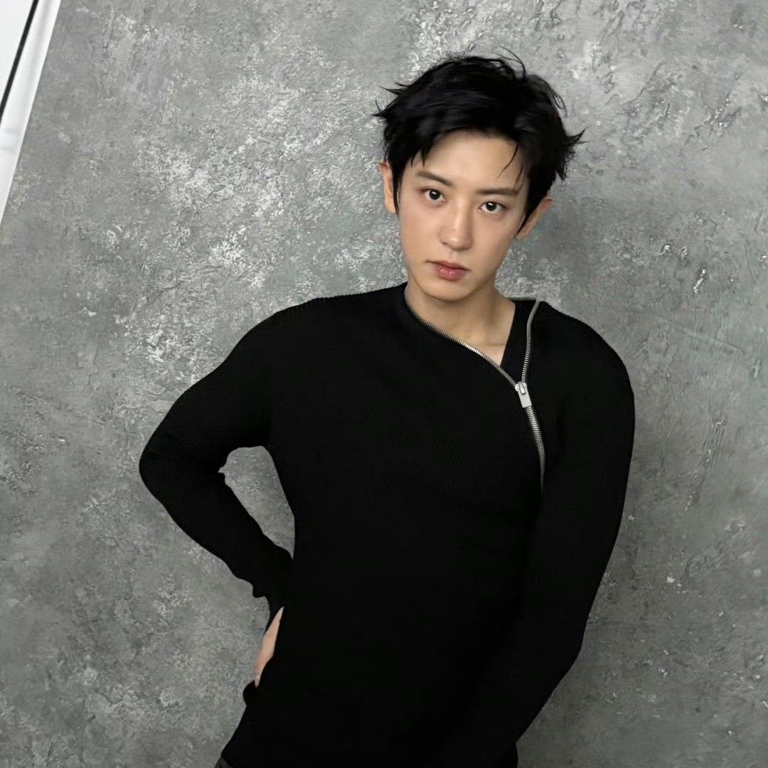 燦烈 (EXO)的最新活動照片