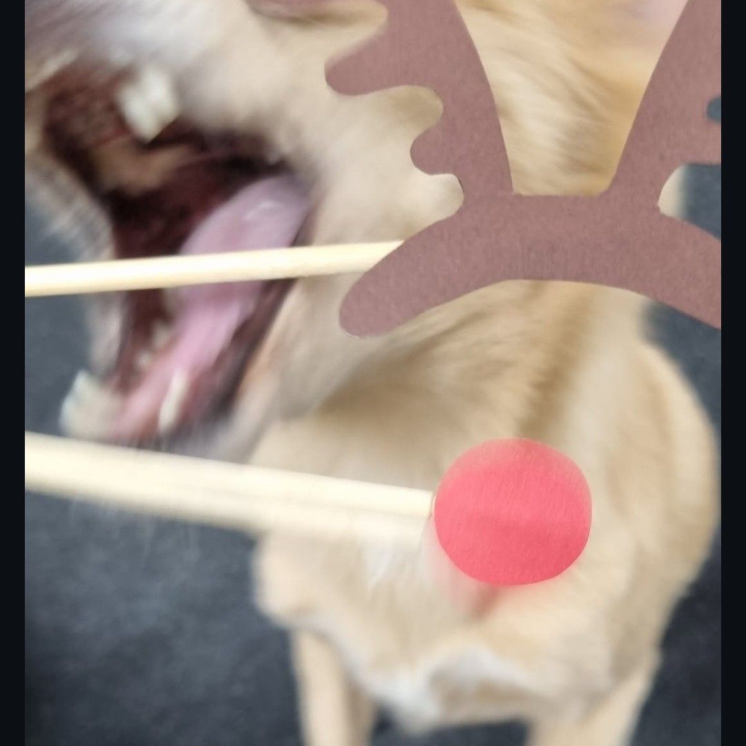 쯔위 (TWICE) 팬이 찍은 순간