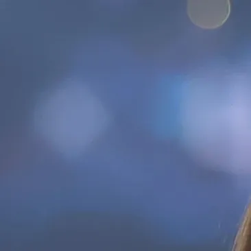 Recent activity shot of LIZ (IVE)