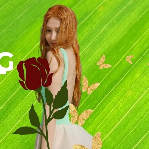 A moment captured by Joy (Red Velvet)'s fan