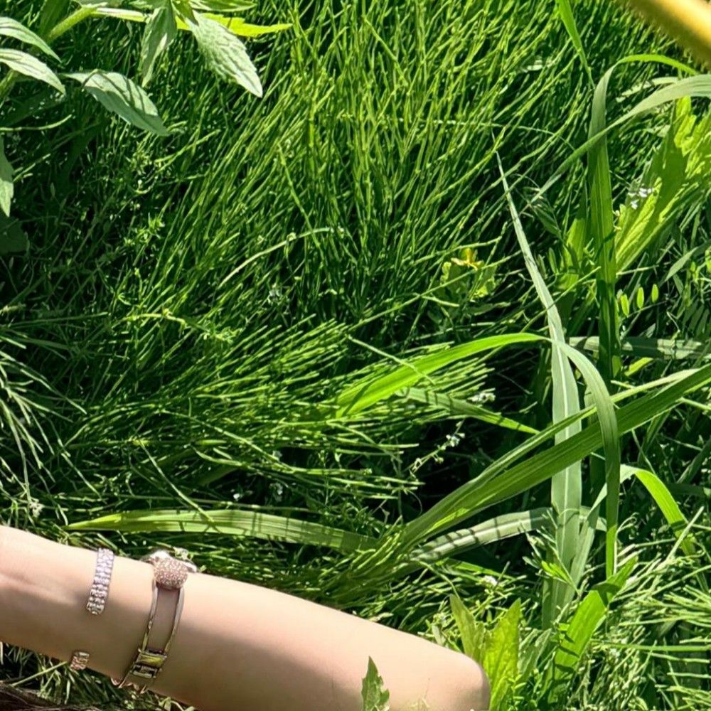 A moment captured by Solar (MAMAMOO)'s fan
