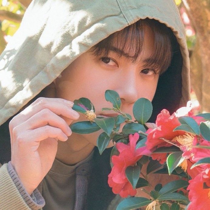 Recent activity shot of EXO