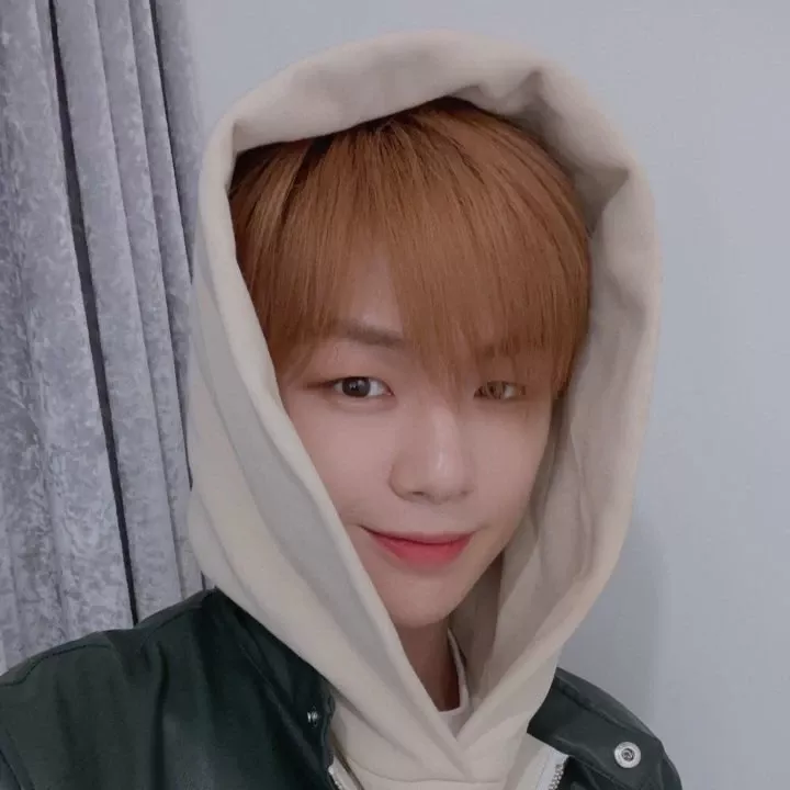 강다니엘 최근 활동샷