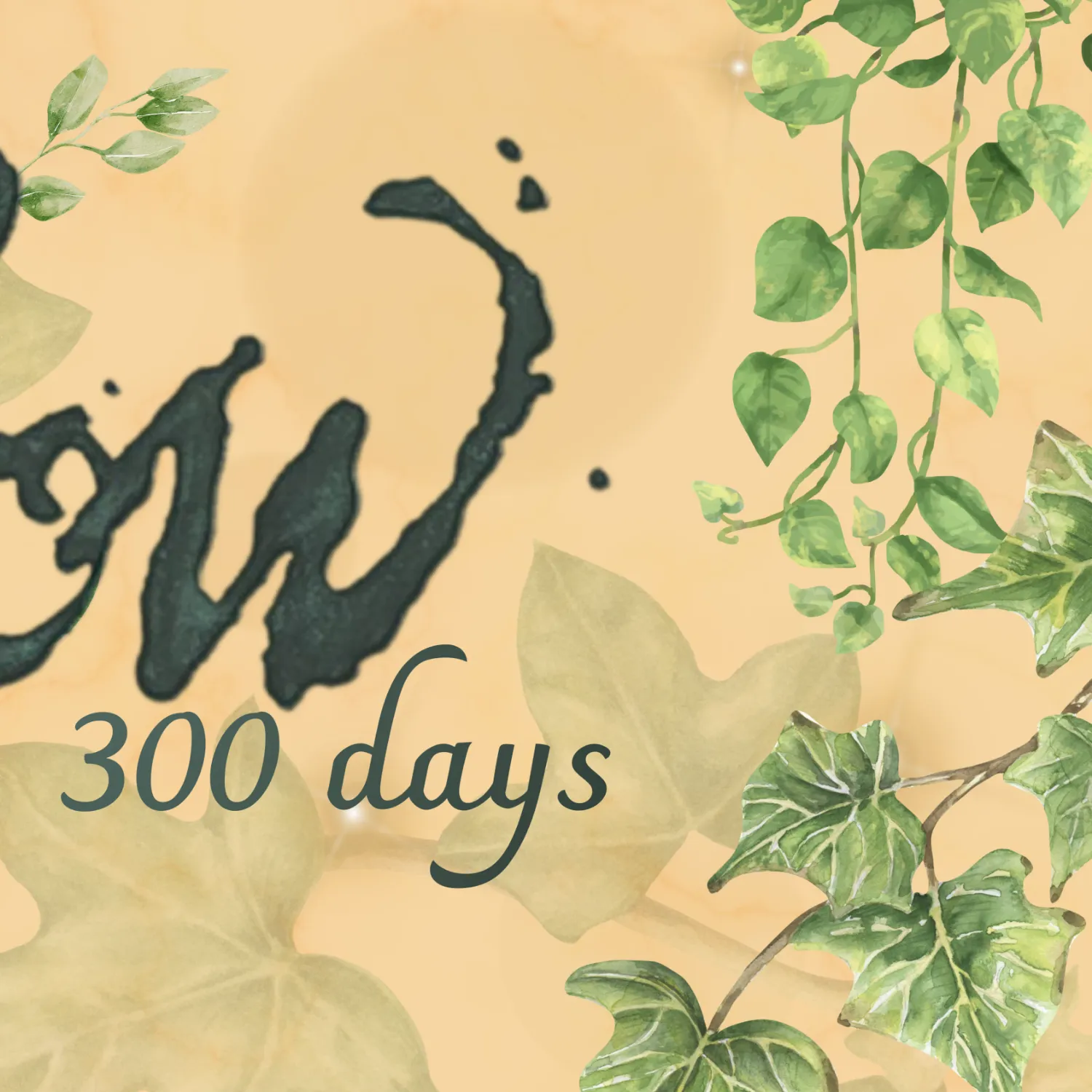 Recent activity shot of Changbin (Stray Kids)