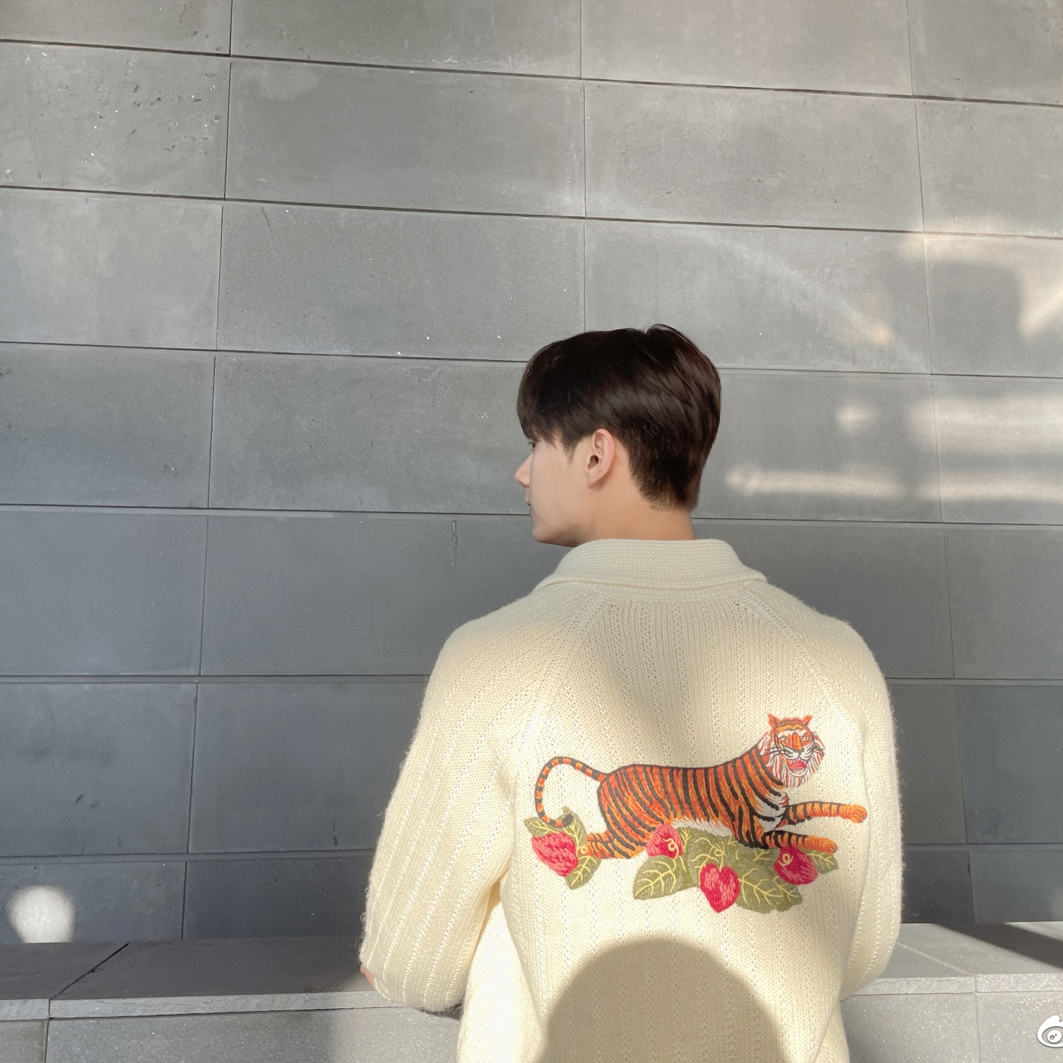 세븐틴의 비하인드 컷