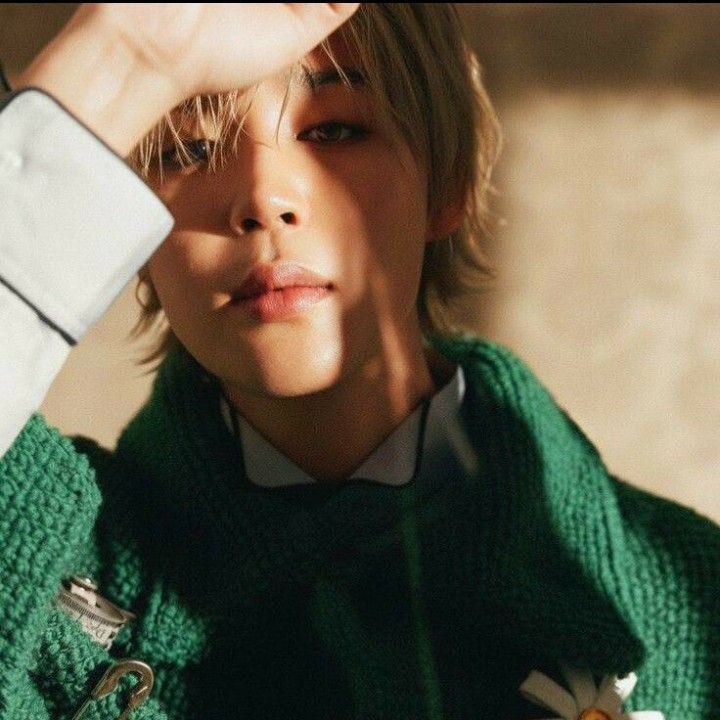 지민 (방탄소년단) 팬이 찍은 순간