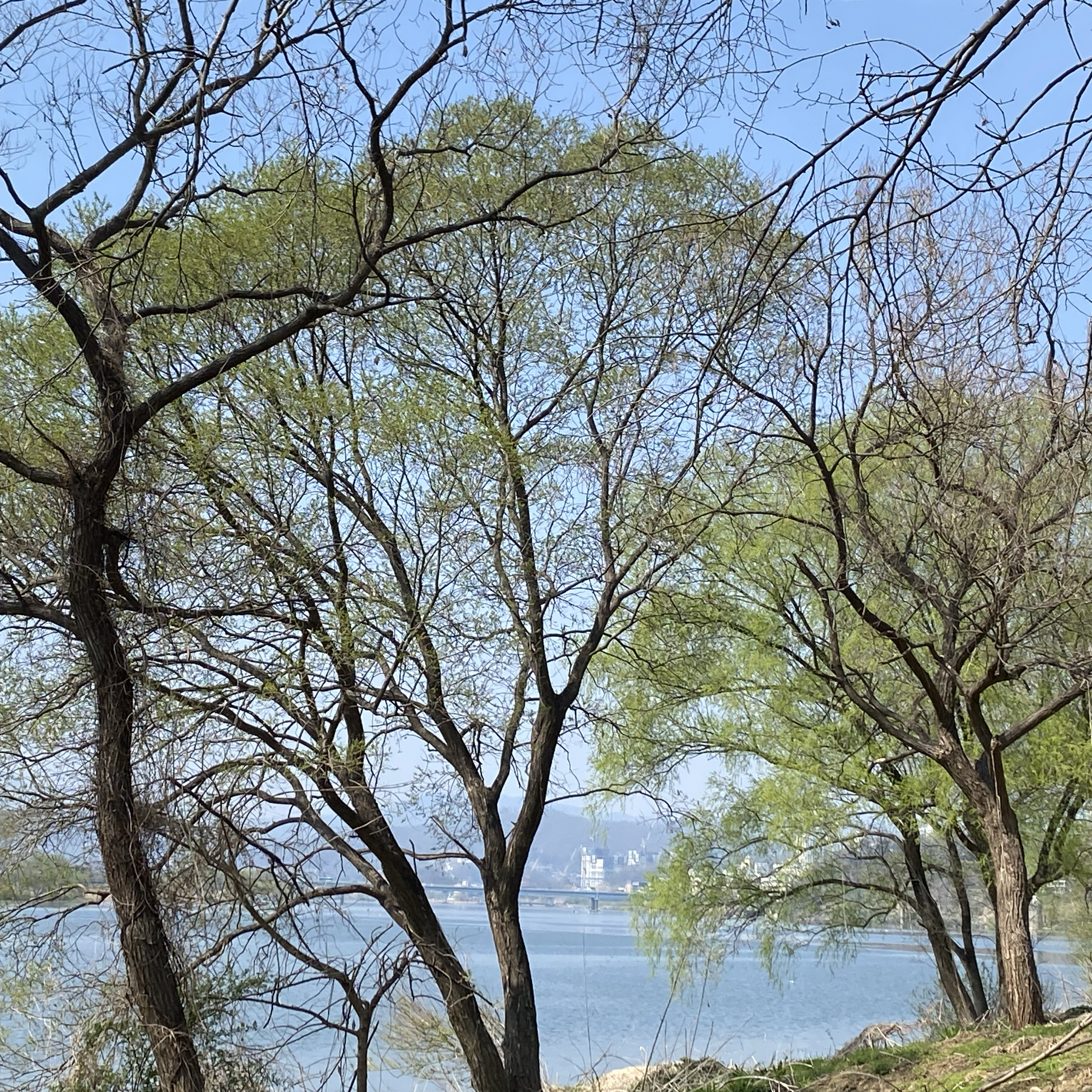 BTSファンが撮った瞬間