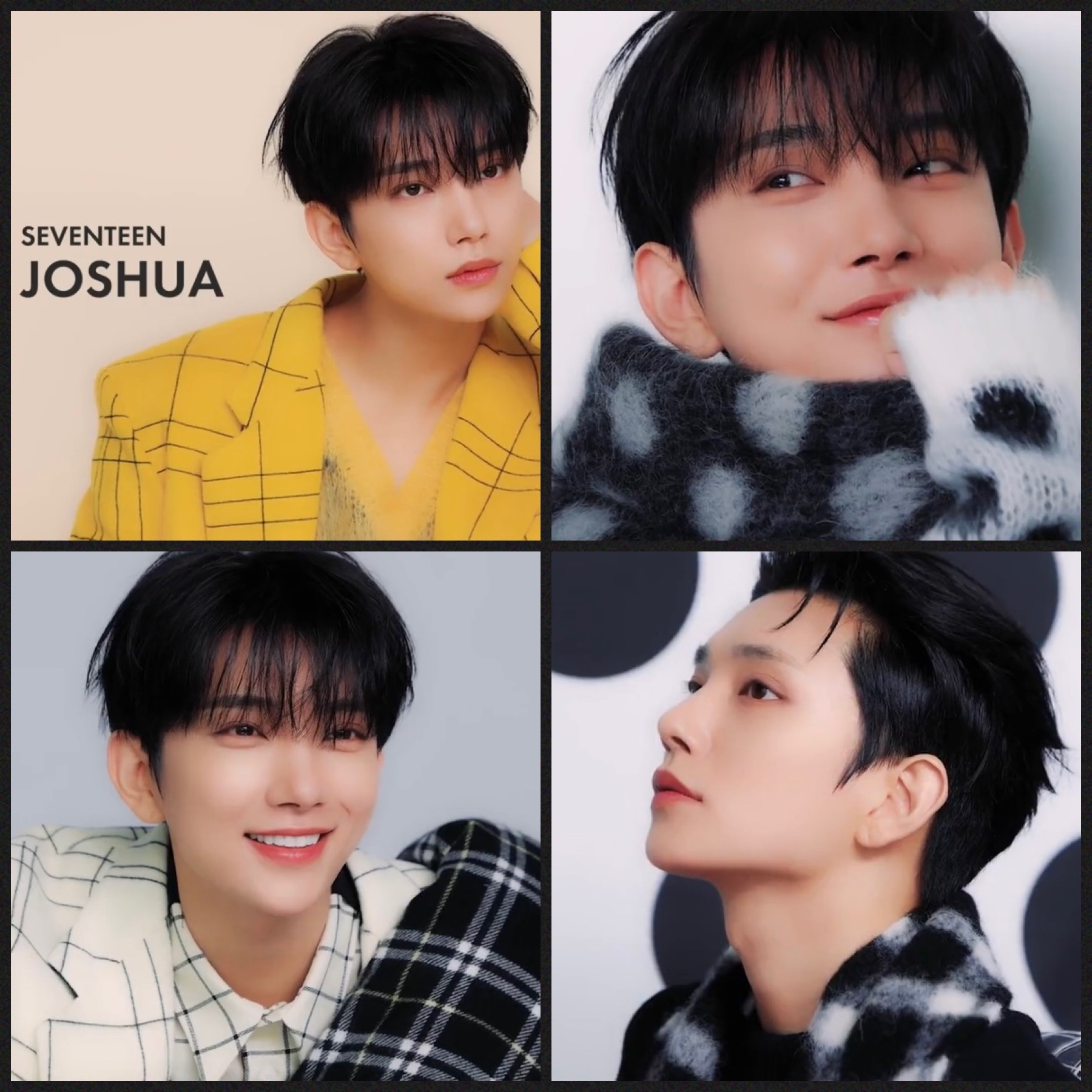 A moment captured by Joshua (SEVENTEEN)'s fan