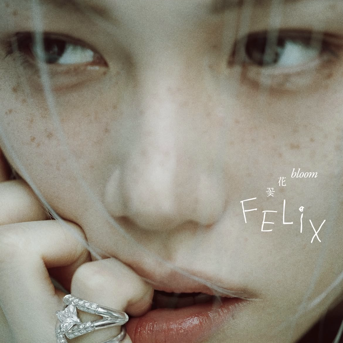 Felix (Stray Kids)粉丝拍下的瞬间