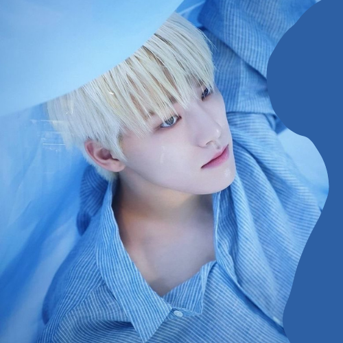 Latest photo of Dino (SEVENTEEN)