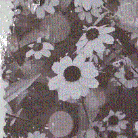 Behind-the-scenes cut of Maya (NiziU)