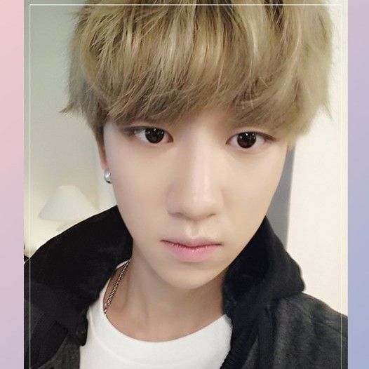 디에잇 (세븐틴) 팬이 찍은 순간