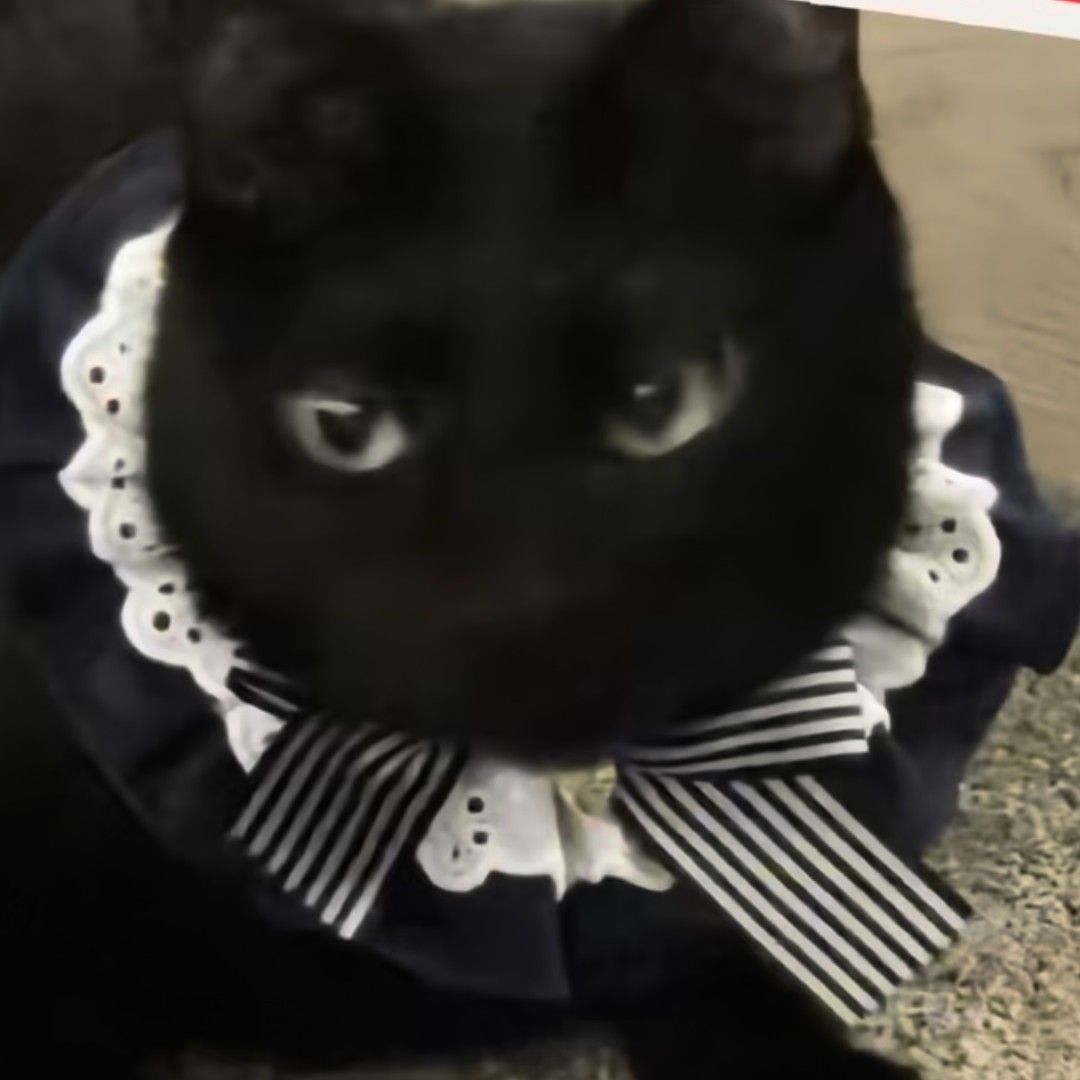 Foto aktivitas terbaru SUGA (BTS)