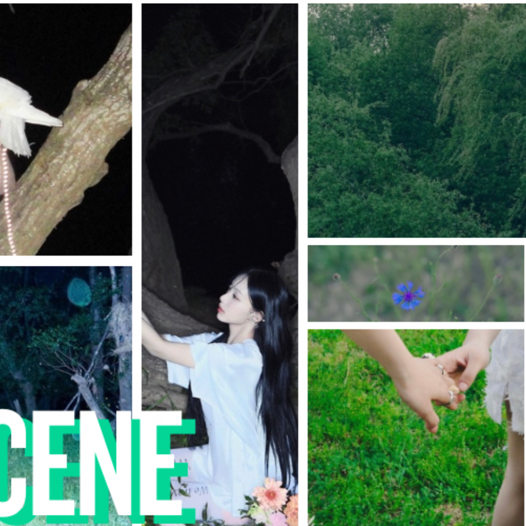 Latest photo of Woni (RESCENE)