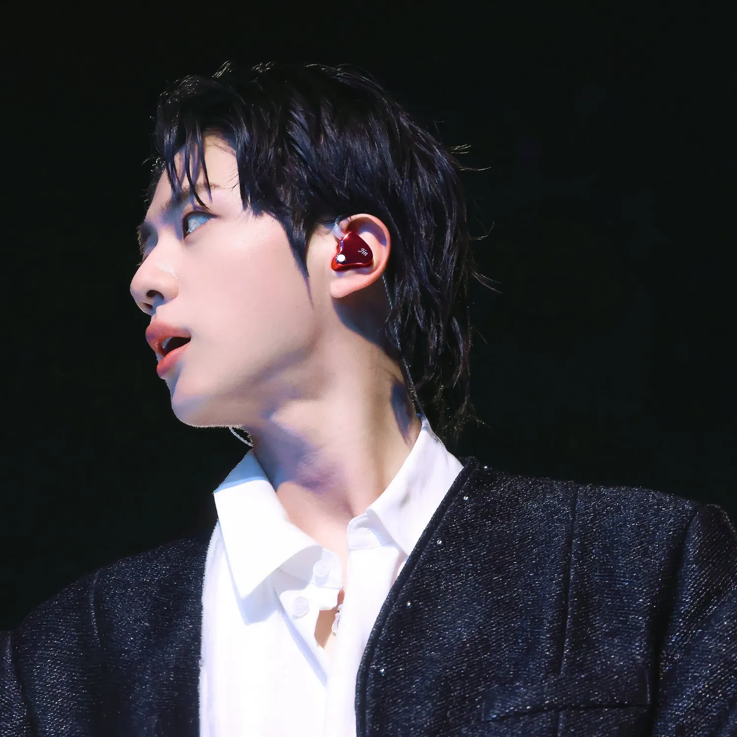 진 (방탄소년단) 팬이 찍은 순간