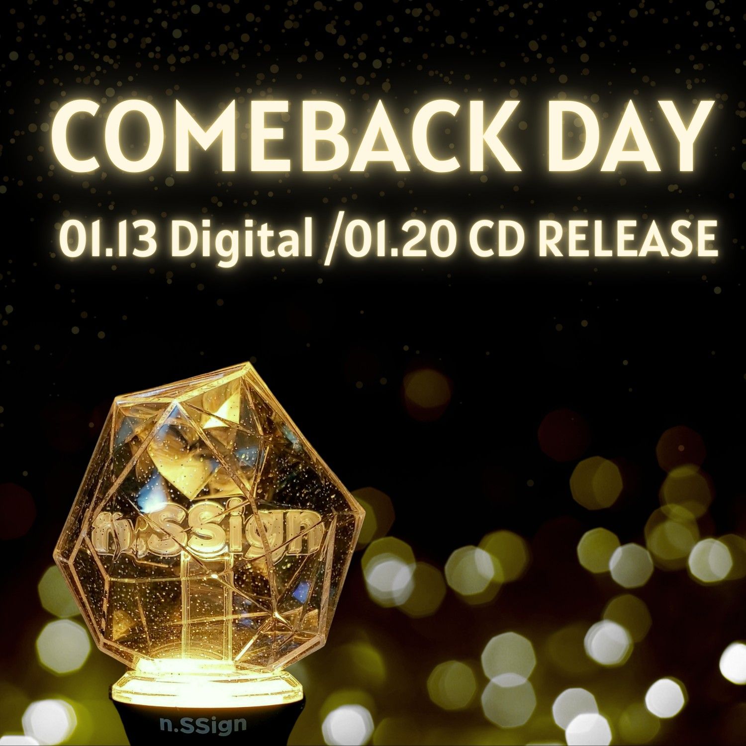 A moment captured by n.SSign's fan