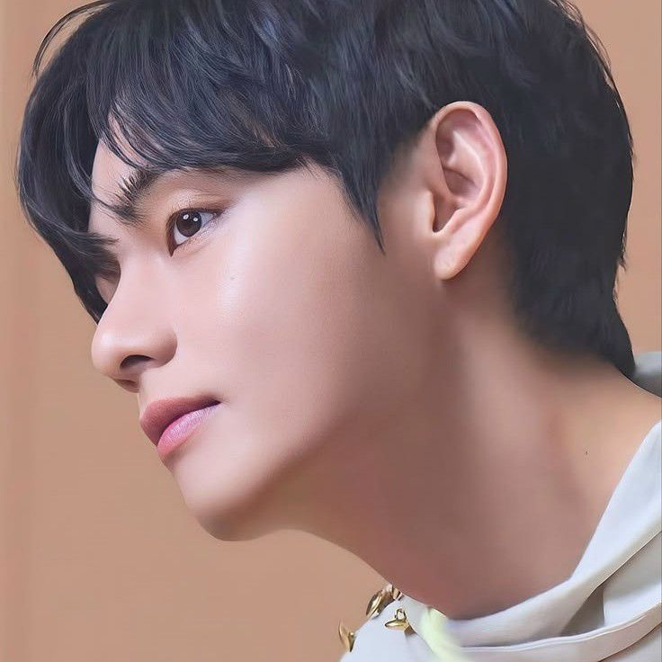 V (防弹少年团)的幕后花絮