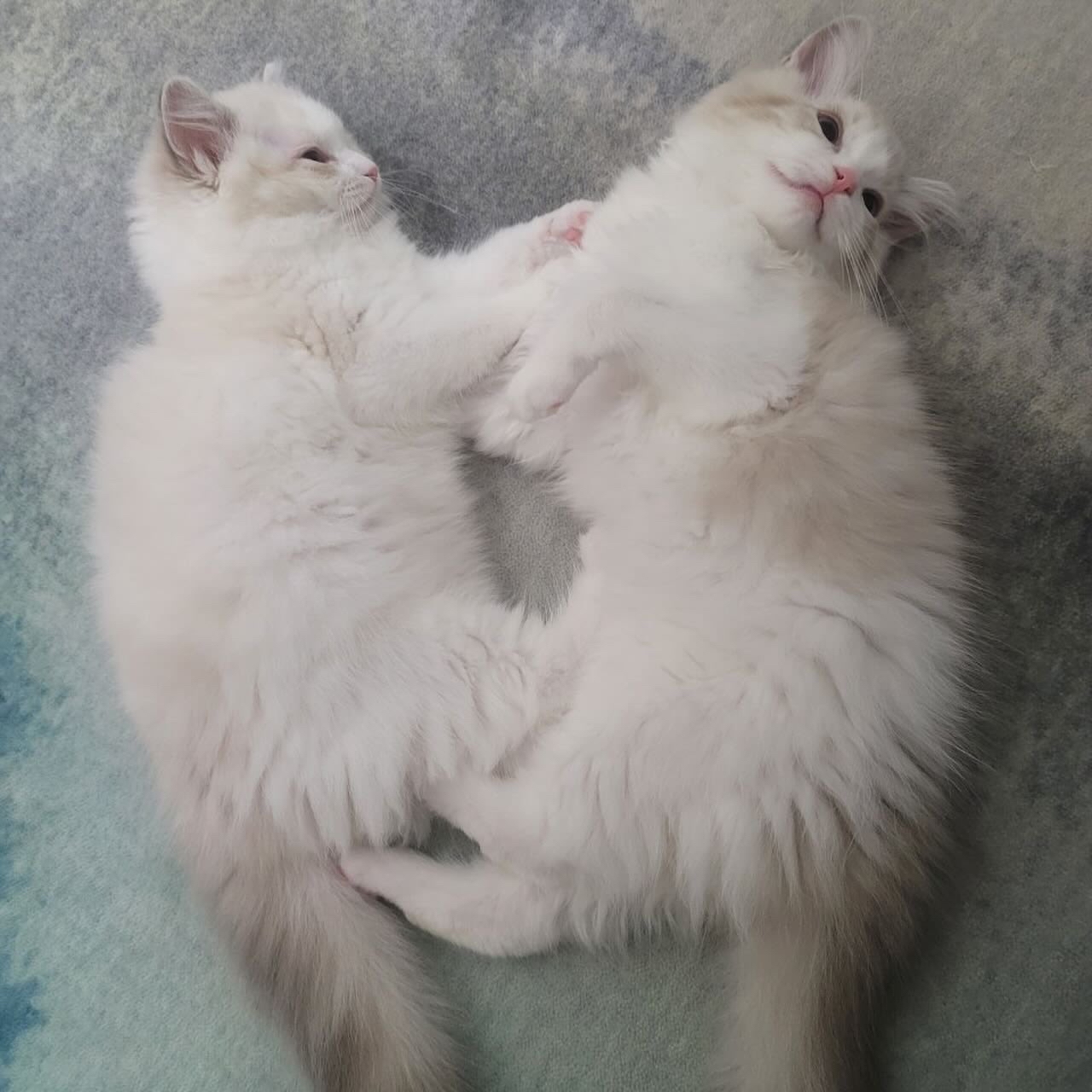 Recent activity shot of Jaemin (NCT DREAM)