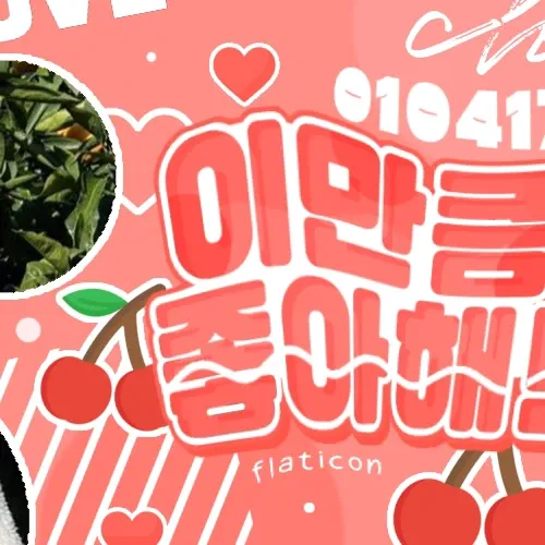 リュジン (ITZY)の舞台裏ショット