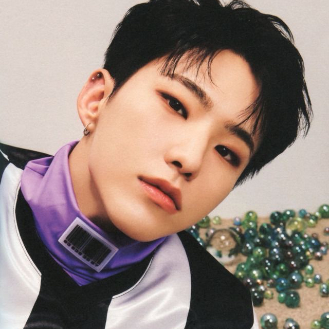 A moment captured by Hoshi (SEVENTEEN)'s fan