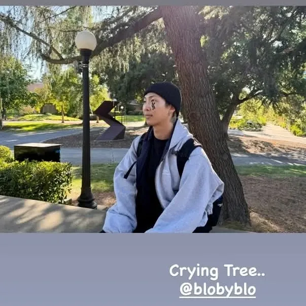방탄소년단 팬이 찍은 순간