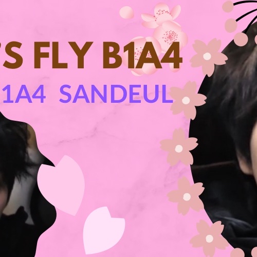 A moment captured by Sandeul (B1A4)'s fan