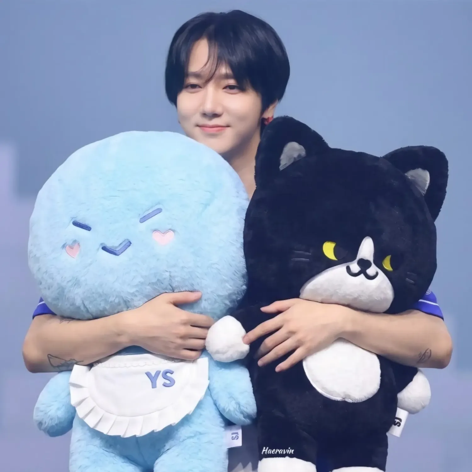 Recent activity shot of Super Junior