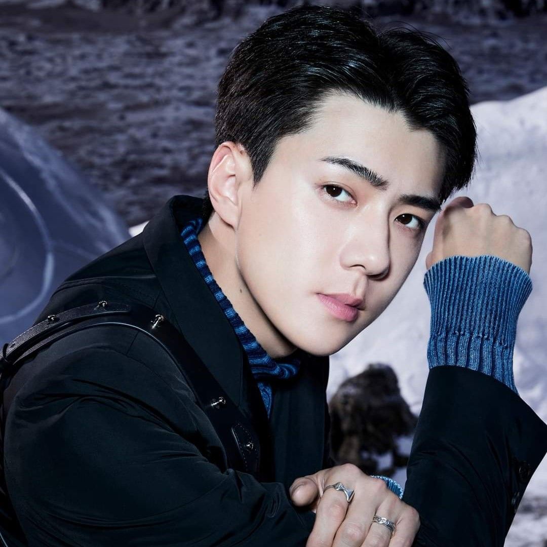 Recent activity shot of EXO