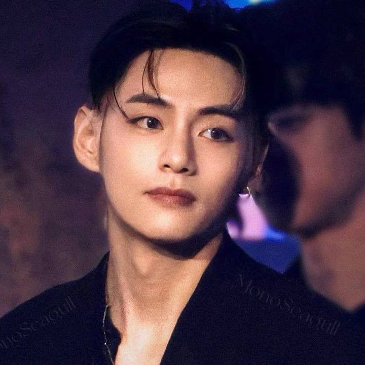 뷔 (방탄소년단) 팬이 찍은 순간