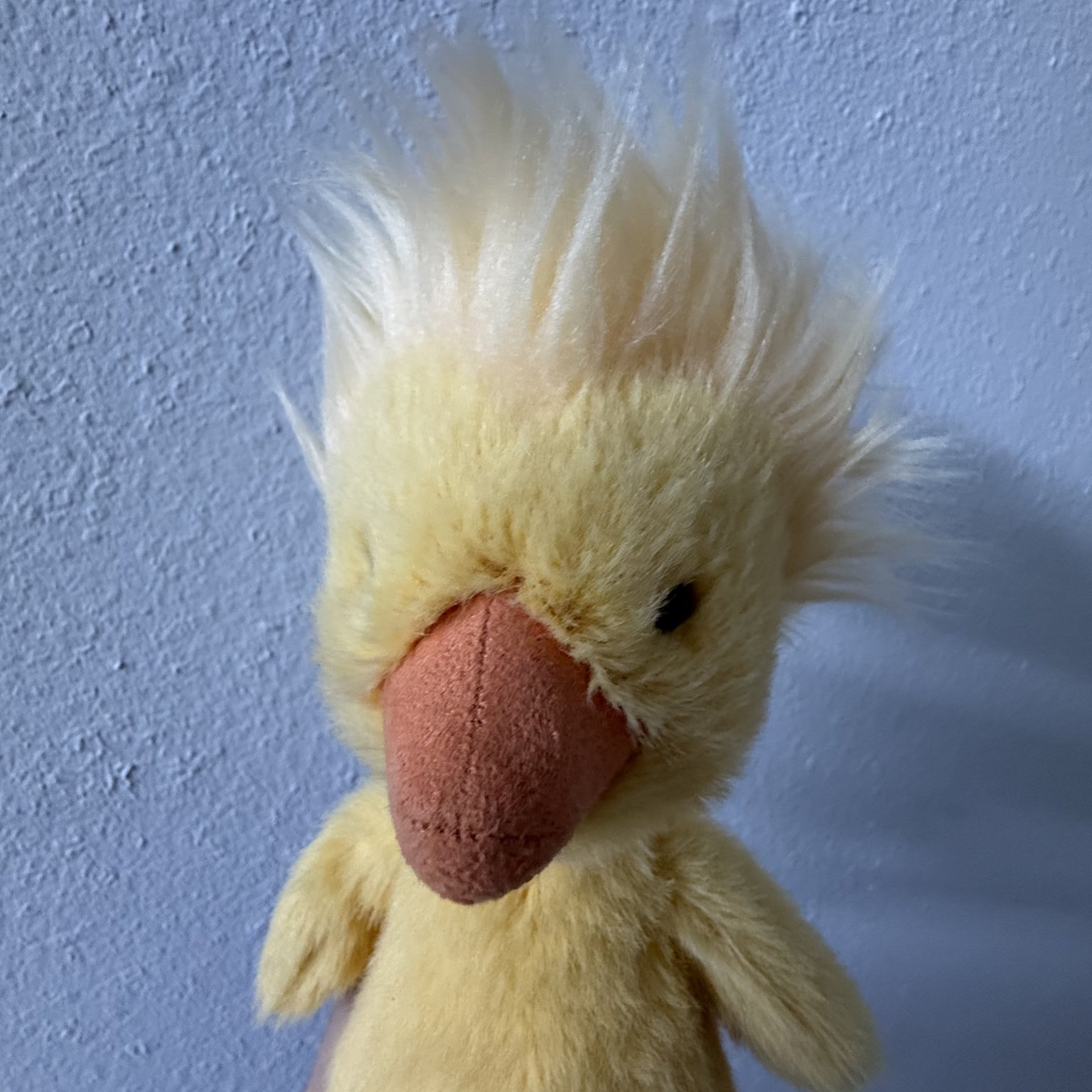 NI-KI (ENHYPEN)的最新照片