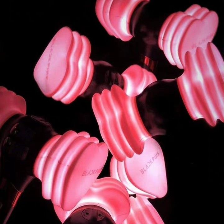 BLACKPINK的最新活動照片