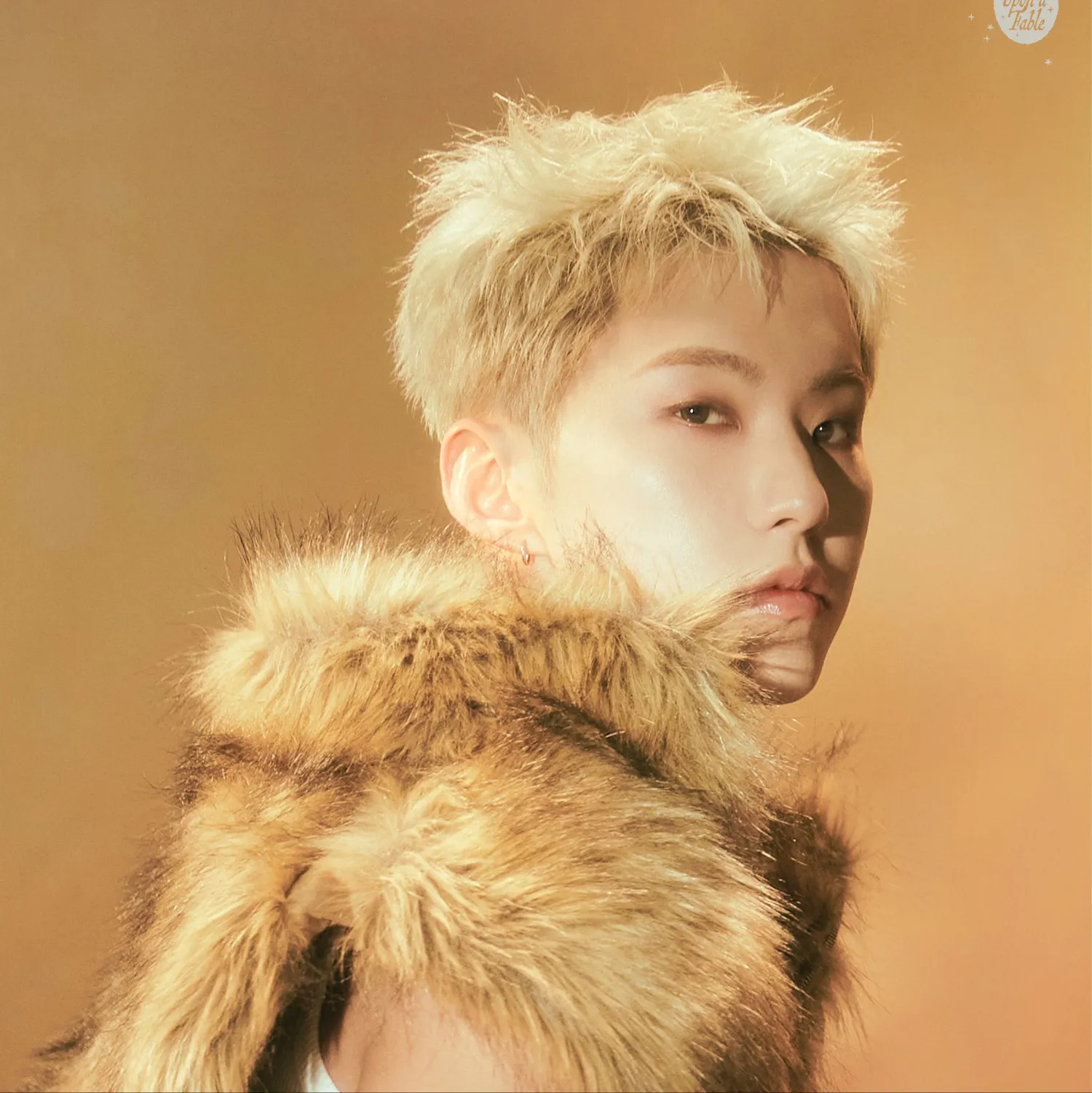 세븐틴 팬이 찍은 순간