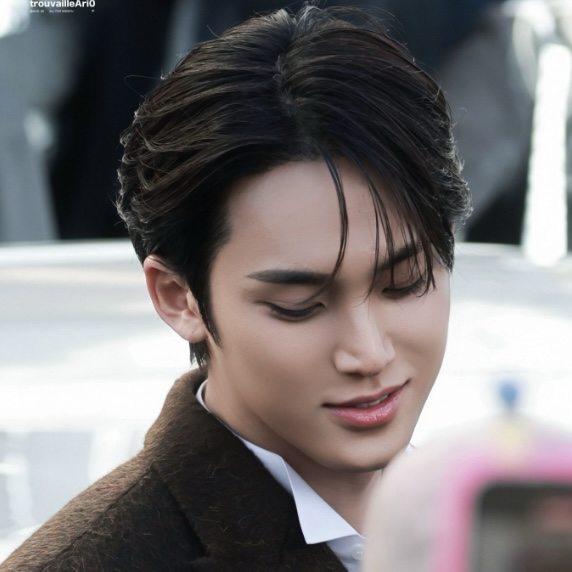 세븐틴 팬이 찍은 순간