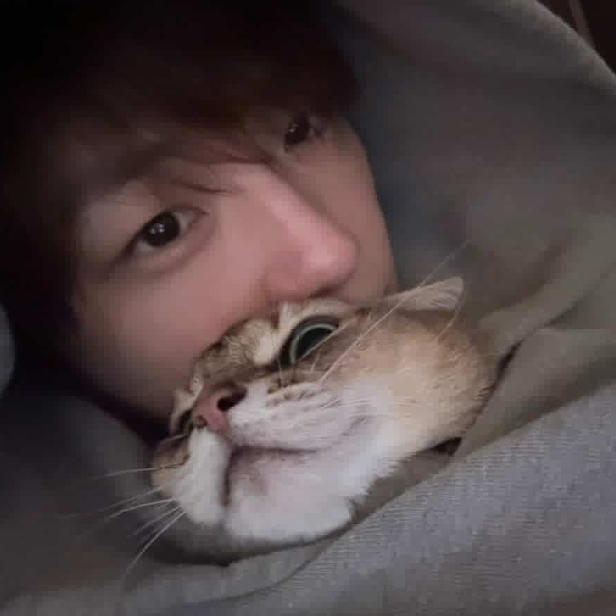 강다니엘 팬이 찍은 순간