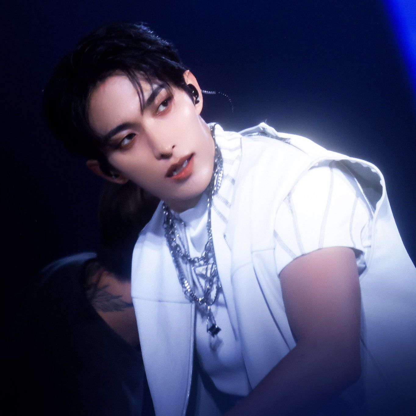 세븐틴 팬이 찍은 순간