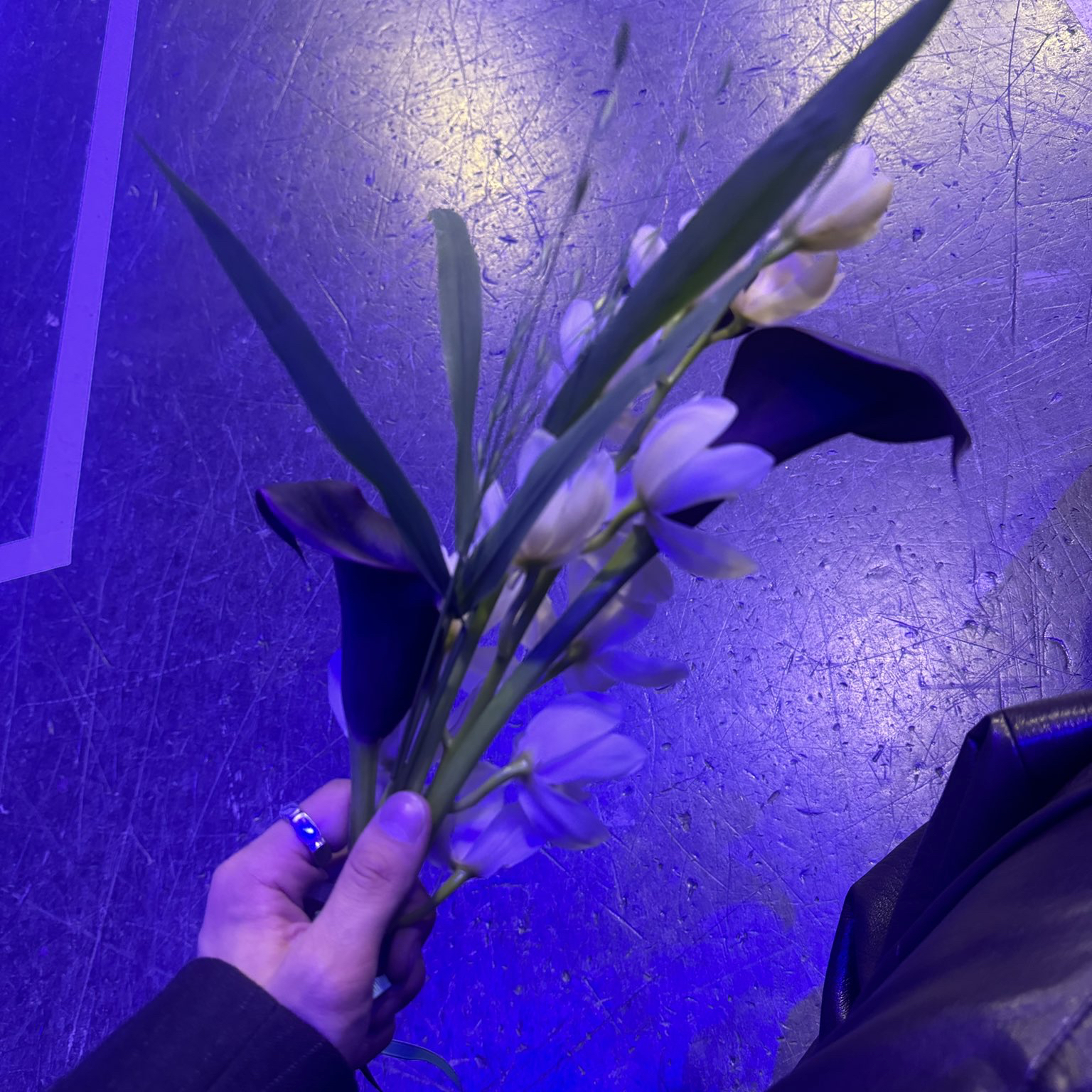 Behind-the-scenes cut of He Xinlong (ALPHA DRIVE ONE)