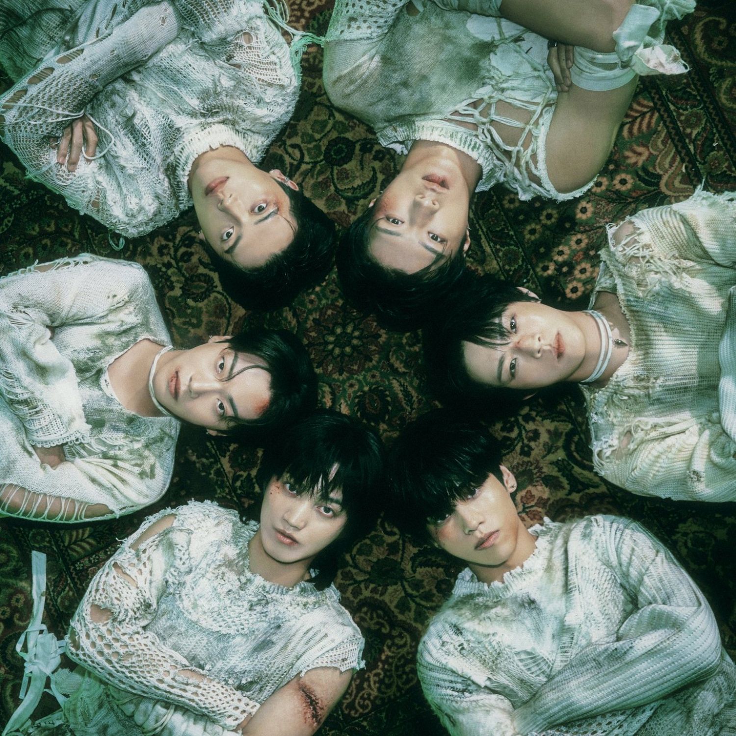 Recent activity shot of ONF