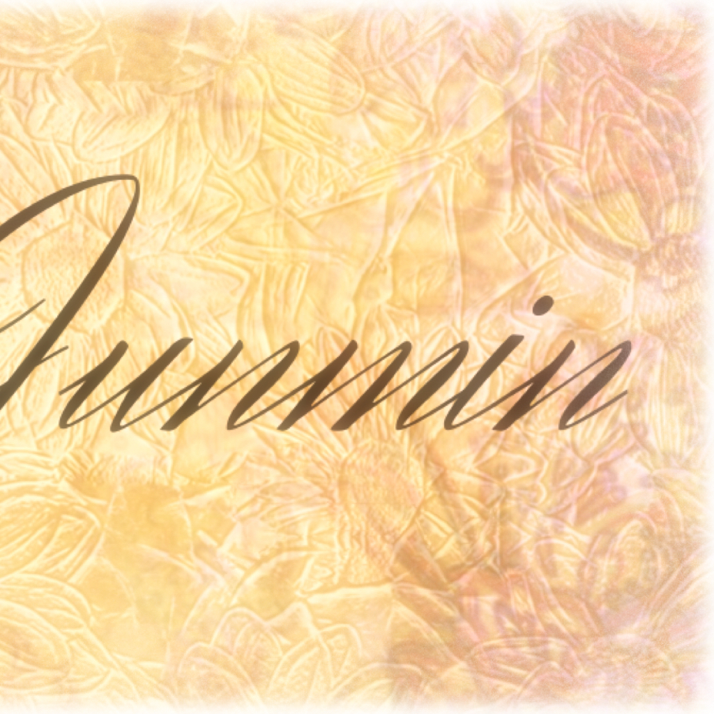 Latest photo of Kim Junmin (WHIB)