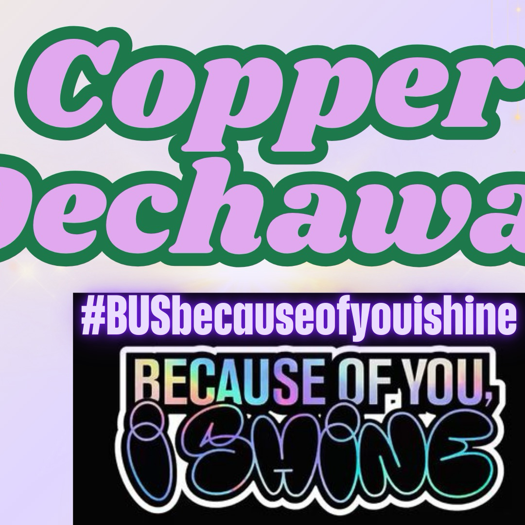 Copper (BUS)粉丝拍下的瞬间