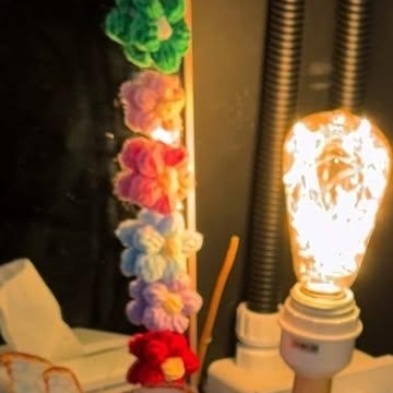 A moment captured by Jeong Yein (Lovelyz)'s fan