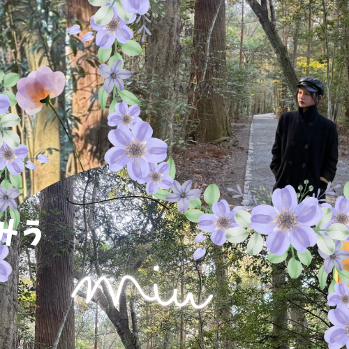 A moment captured by Sakurai Miu (ME:I)'s fan