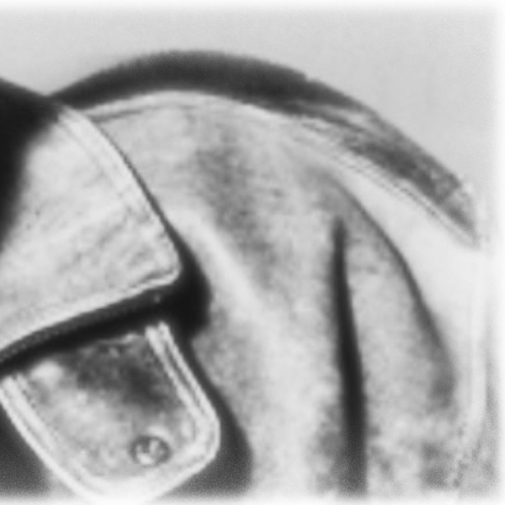 Latest photo of Kim Junmin (WHIB)