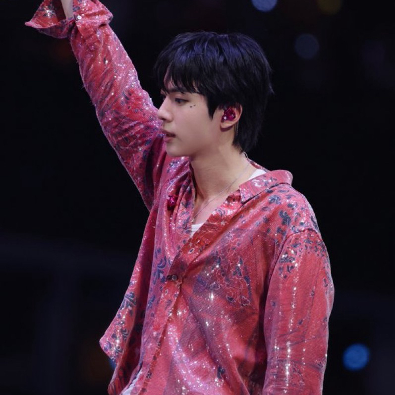 진 (방탄소년단) 팬이 찍은 순간