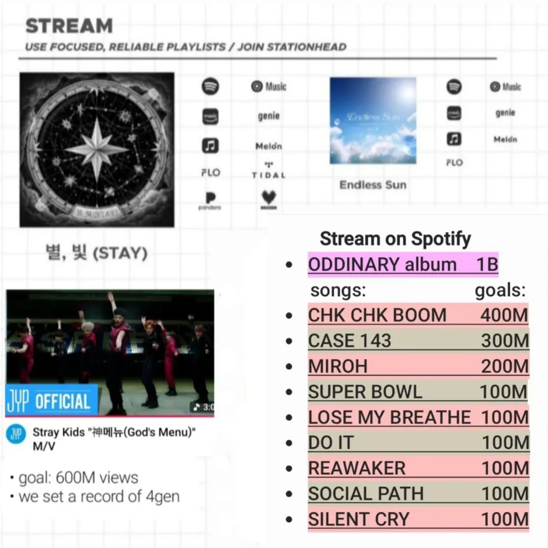 Stray Kids 팬이 찍은 순간