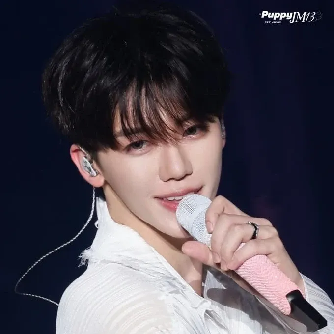 NCT 팬이 찍은 순간