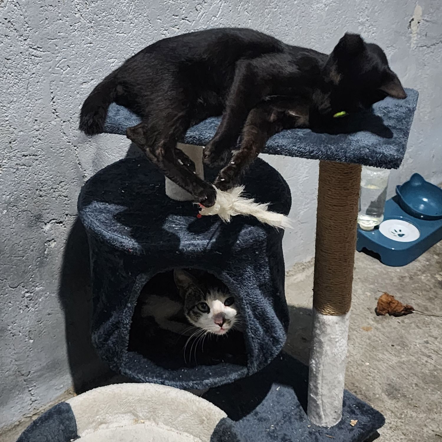 세븐틴 팬이 찍은 순간